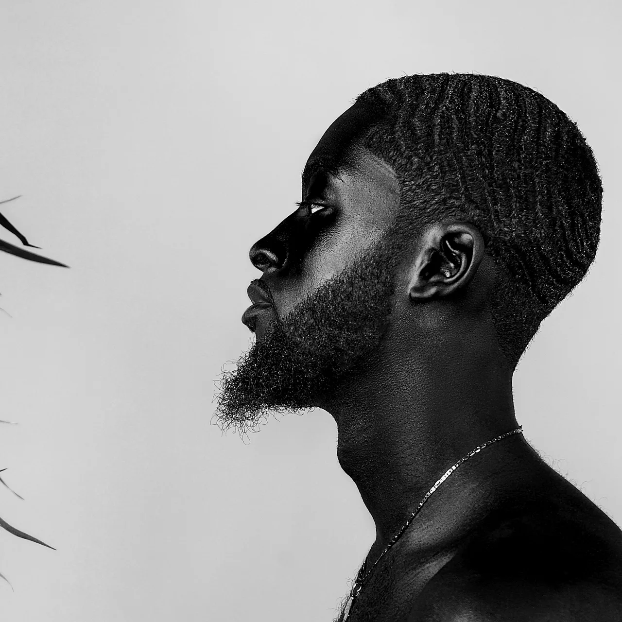 Black and white profile of a man with a sharp high fade and full beard